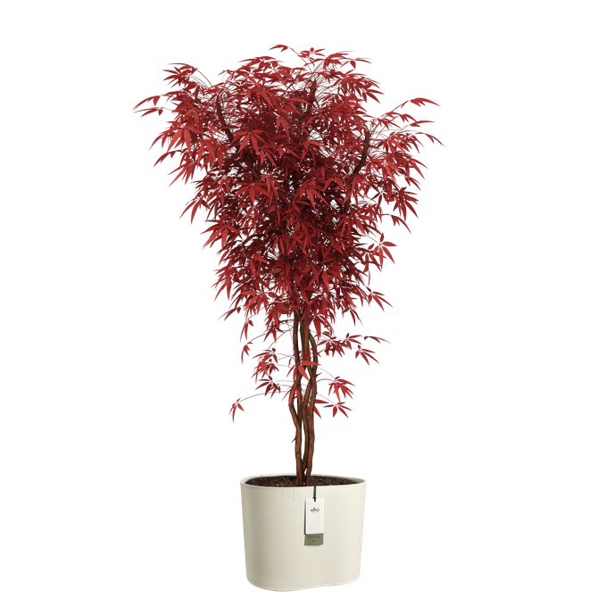 eden aquacare low 40cm linen white